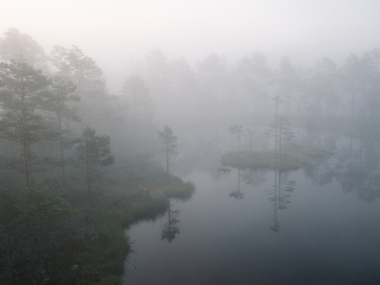 WETLAND: A deep dive into shallow waters "book in Swedish"