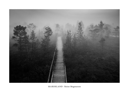 MARSHLAND I