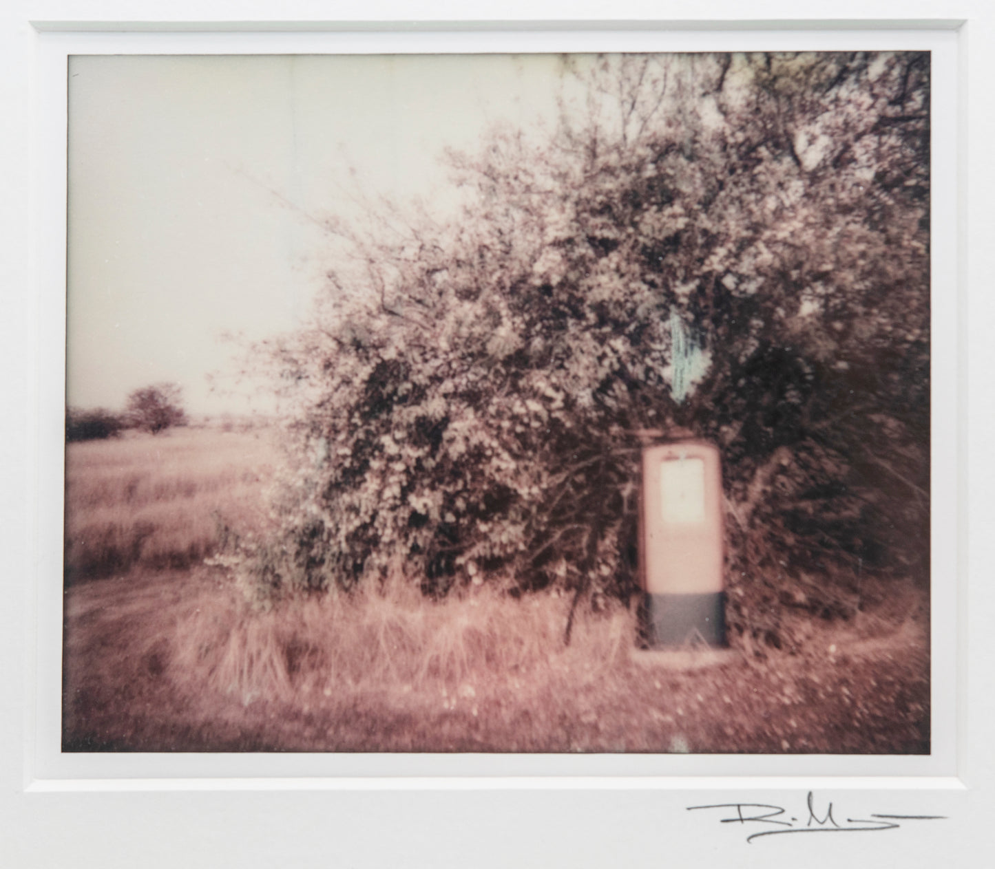 Polaroids / Skärlöv Öland