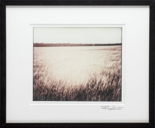 Öländska polaroider / Ottenby