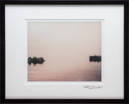 Öländska polaroider / Skärlöv