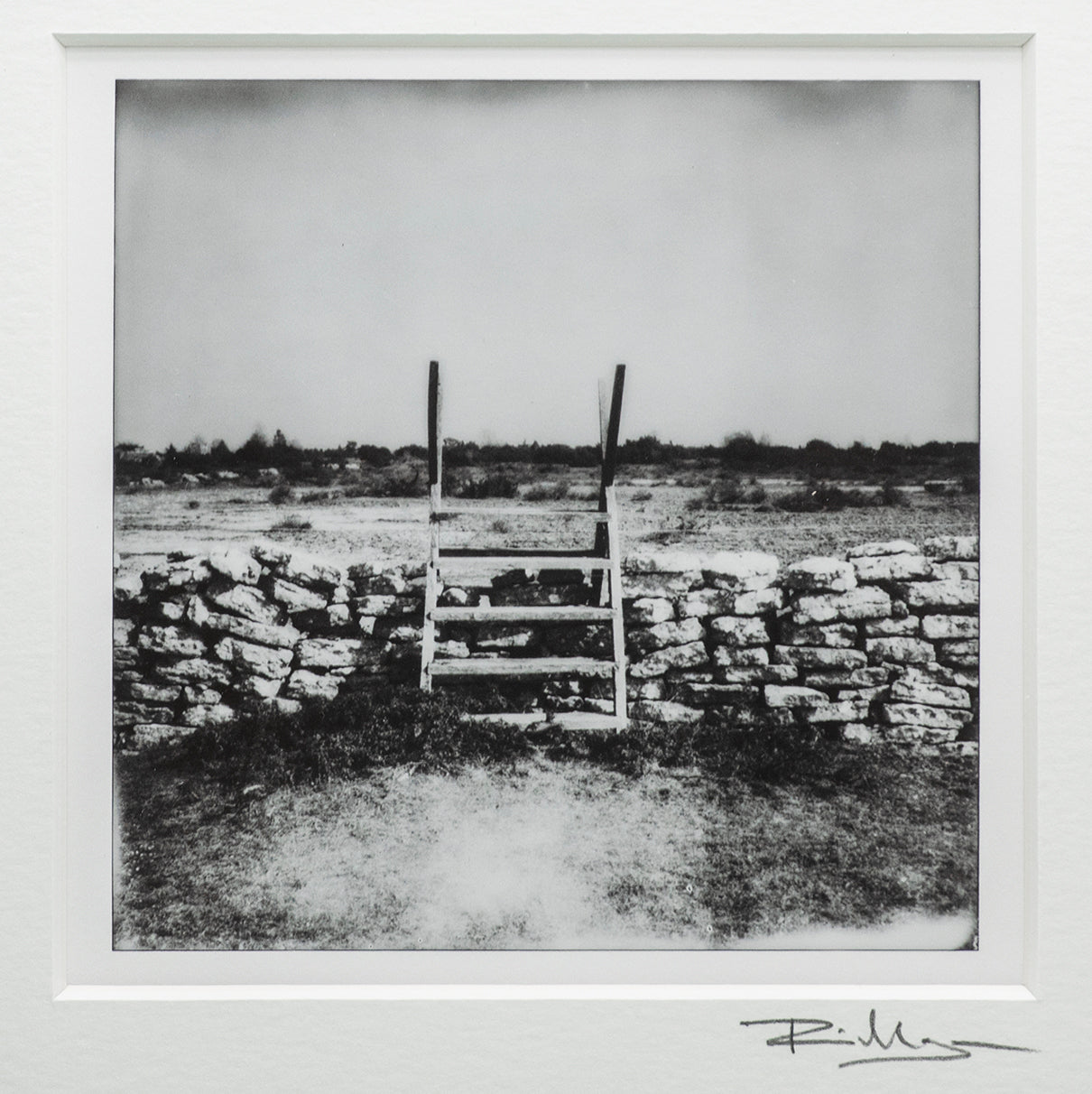Öländska polaroider / Alvaret