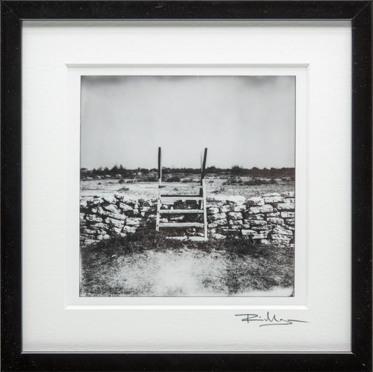 Öländska polaroider / Alvaret