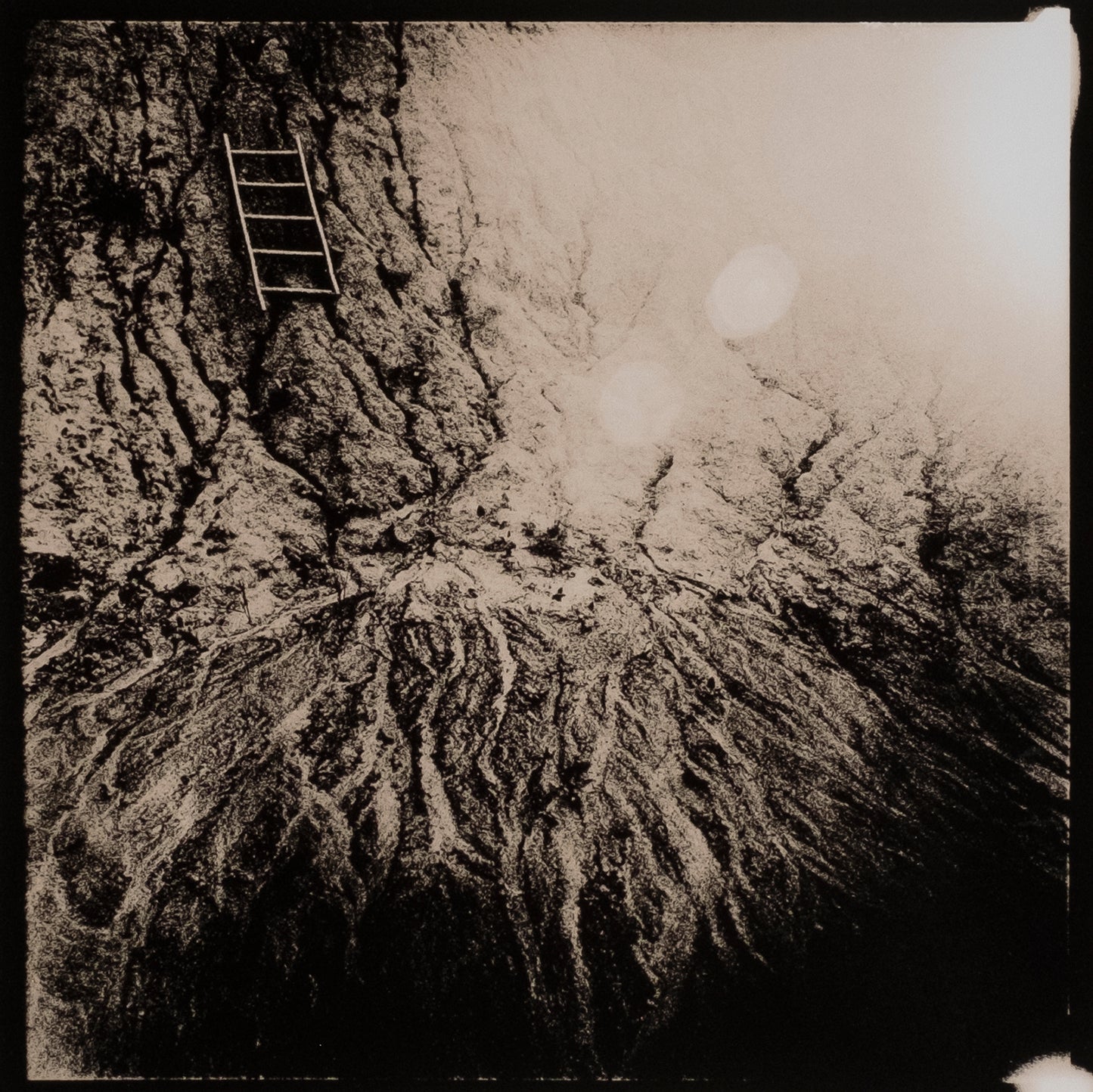 STEP III / Lith print