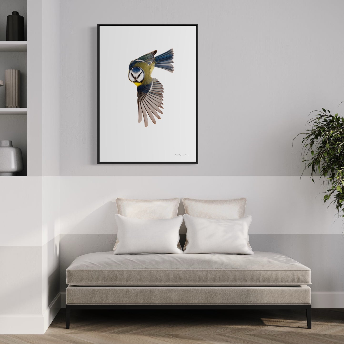Blue tit
