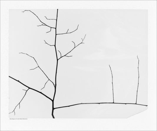 Just under himlen, Polaroid no:66