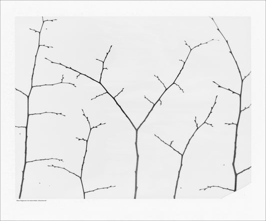 Just under himlen, Polaroid no:89