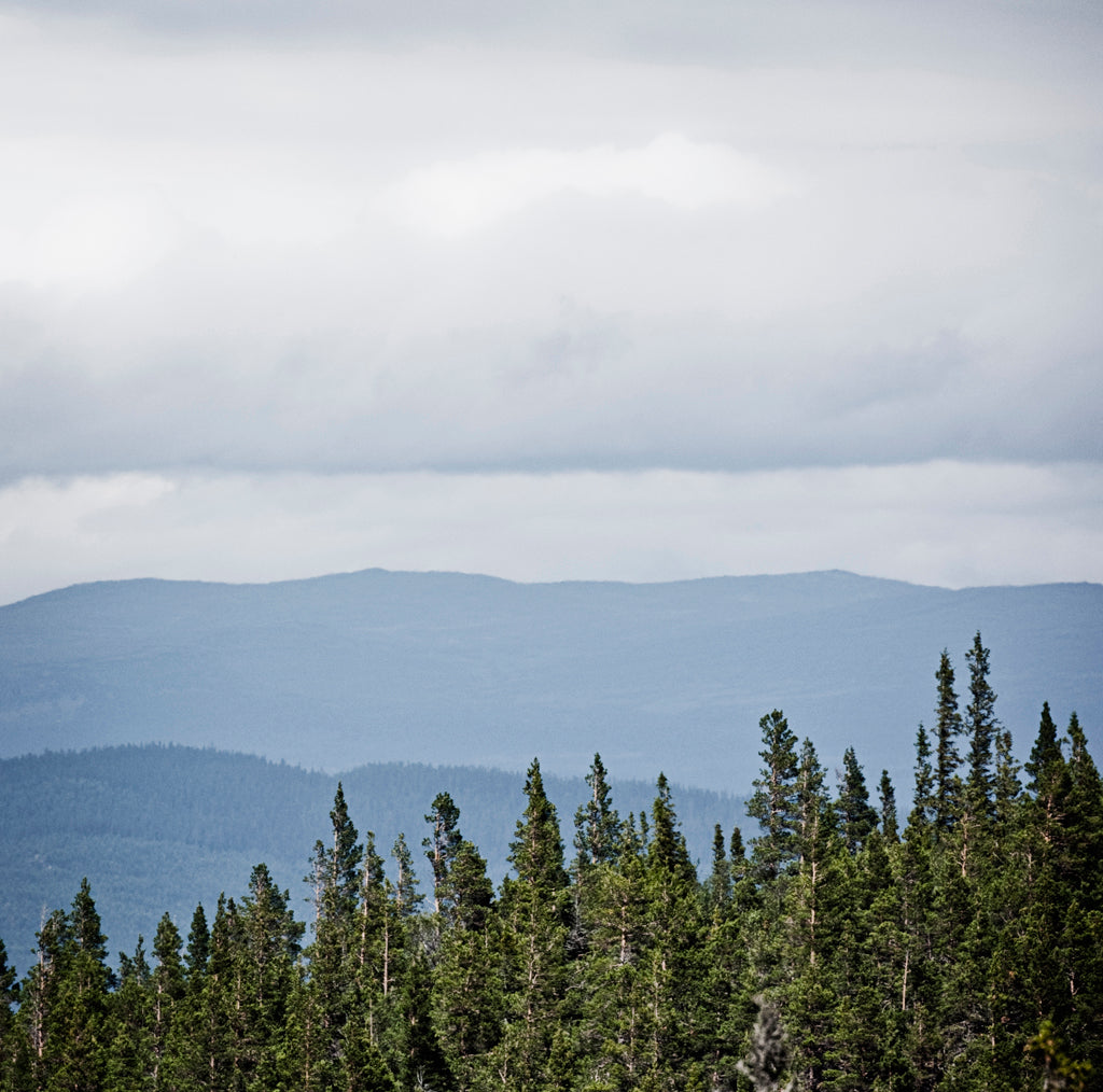 Lugn av naturen - NYTRYCKNING