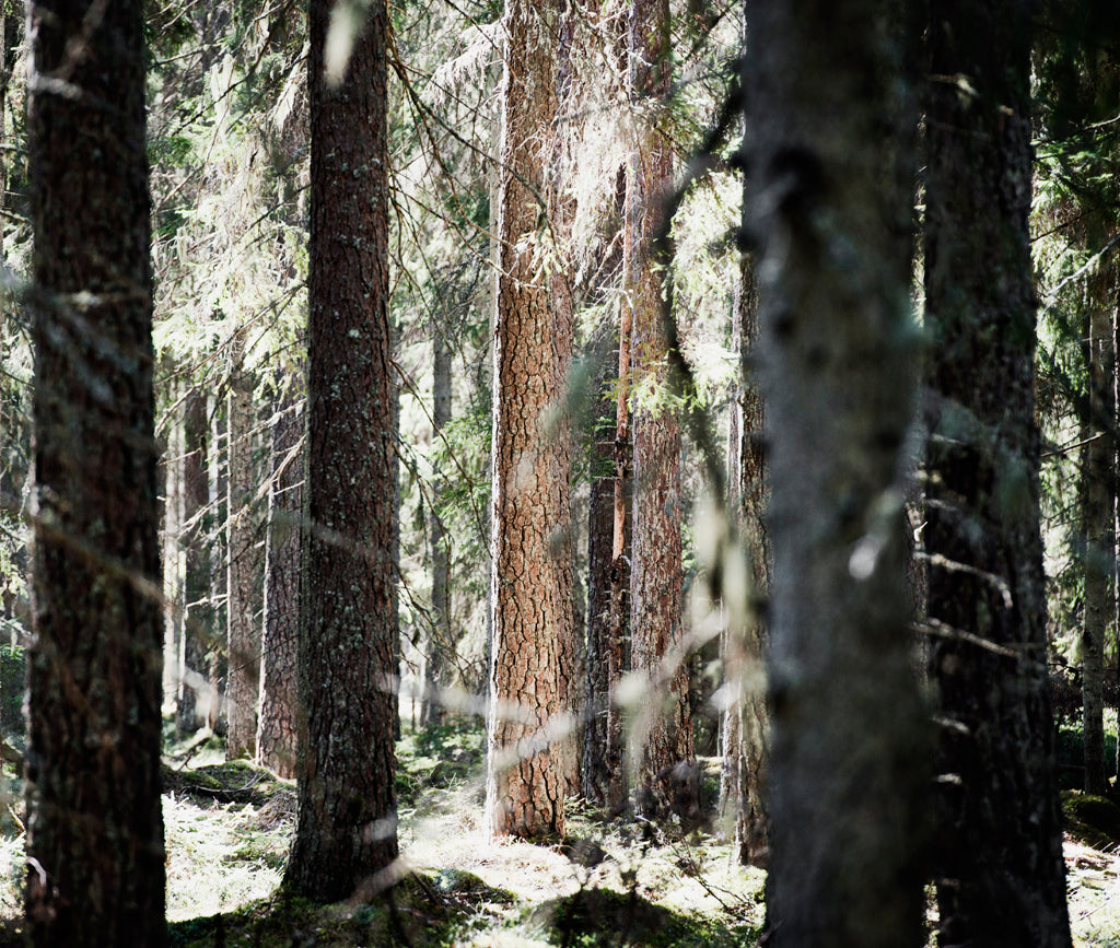 Lugn av naturen - NYTRYCKNING