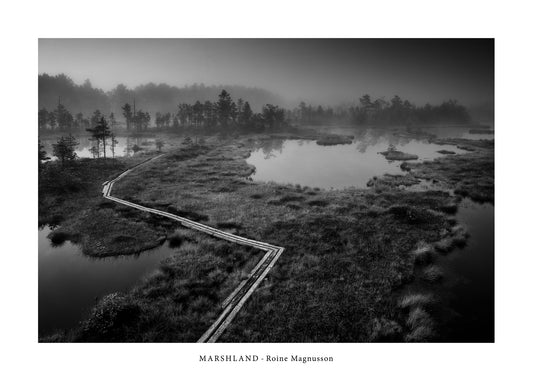 MARSHLAND III