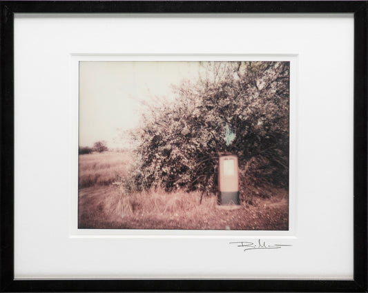 Öländska polaroider / Skärlöv