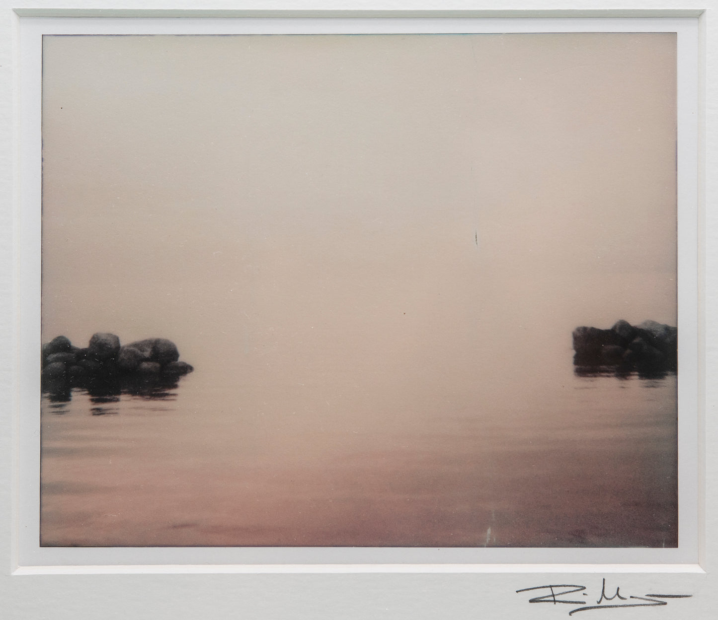 Öländska polaroider / Skärlöv