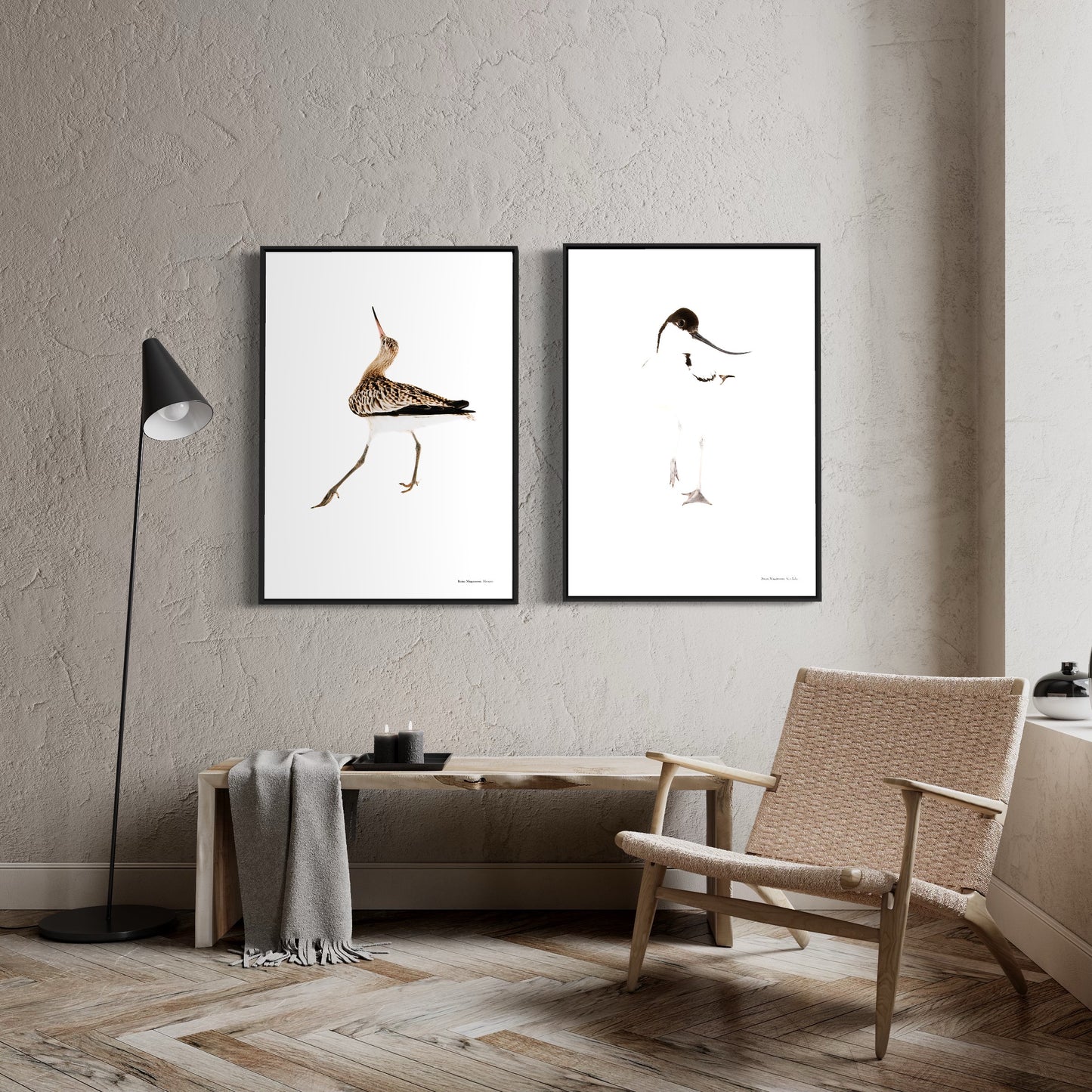 Bar-tailed godwit