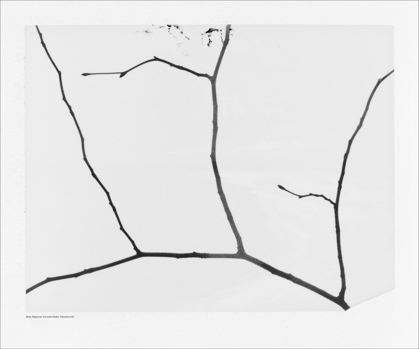 Just under the sky, Polaroid no:100