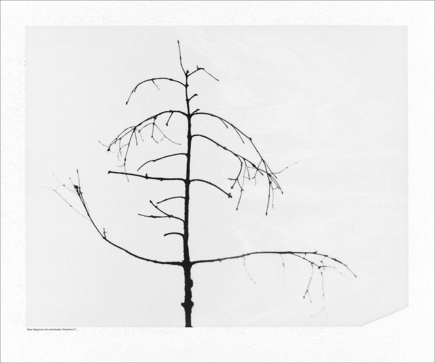 Just under the sky, Polaroid no:77