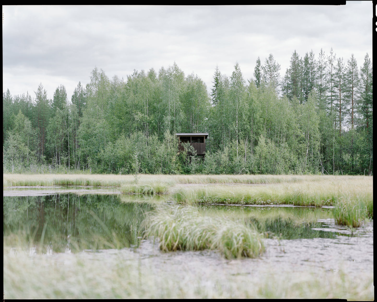 Bird tower "book in Swedish"