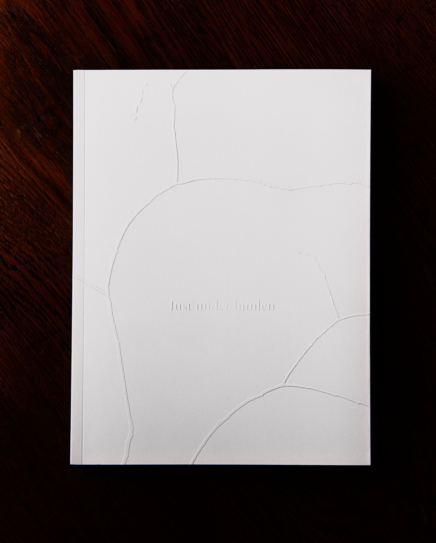 Just under the sky, edition of only 200 copies
