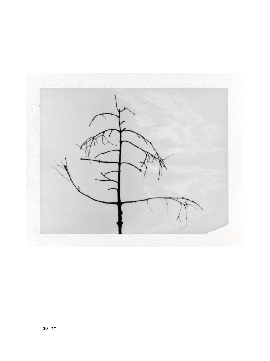Just under the sky, edition of only 200 copies